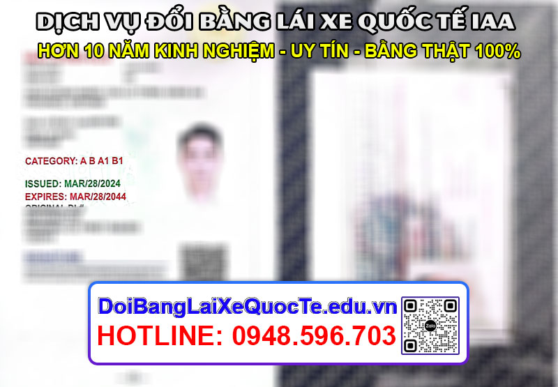 Dich vu doi bang lai xe quoc te IAA Cong ty Hoang Minh 11042024 1