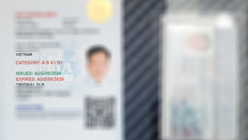 Thong bao bang lai xe quoc te IAA ngay 14082024 da co Dich vu doi bang lai xe quoc te IAA 1